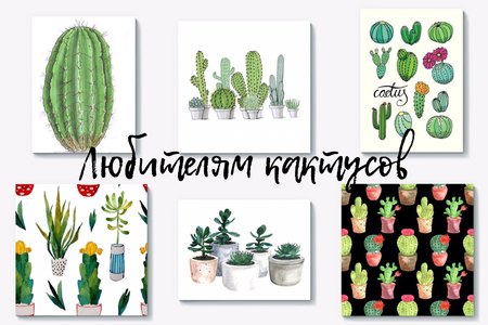 Подарки с тематическими принтами: любителям кактусов