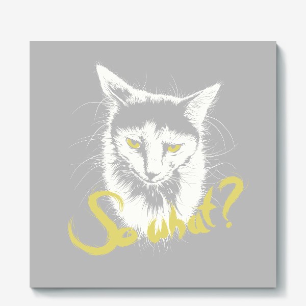 Холст «Angry cat says "so what?"»