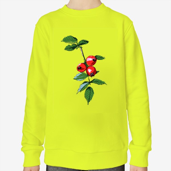 Свитшот «Шиповник с красными ягодами и зелеными листьями. Ботанический скетч ярких плодов на ветке»