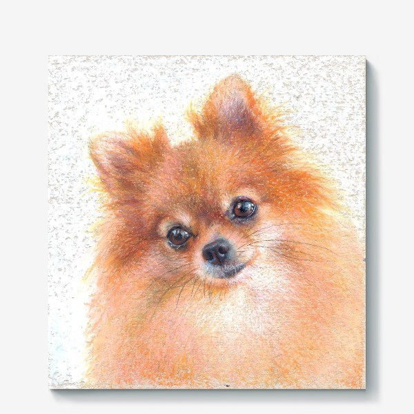 Холст «Шпиц, лисичка, портрет любимца, рыжая собака»