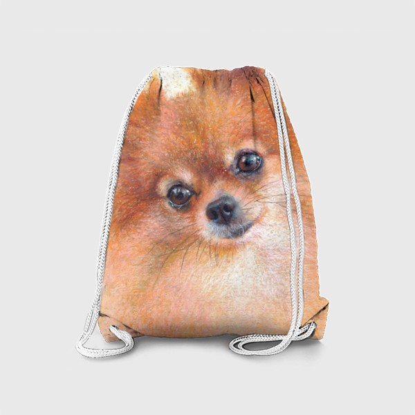 Рюкзак «Шпиц, лисичка, портрет любимца, рыжая собака»