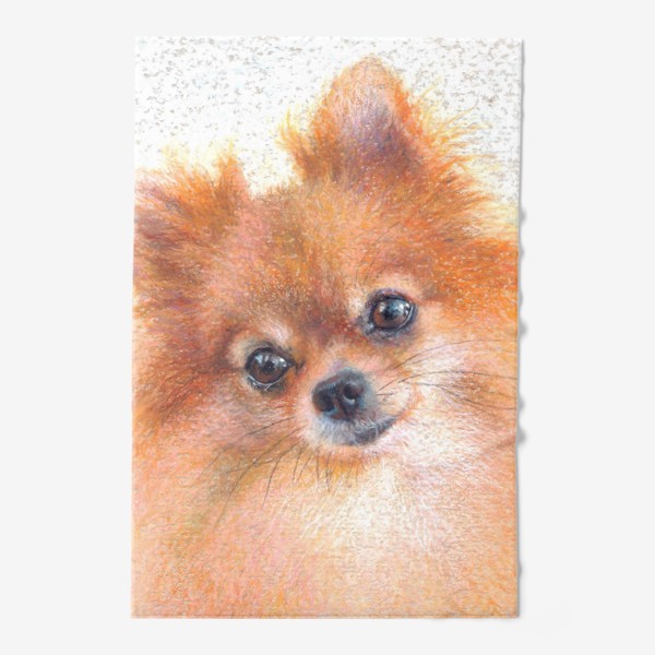 Полотенце «Шпиц, лисичка, портрет любимца, рыжая собака»