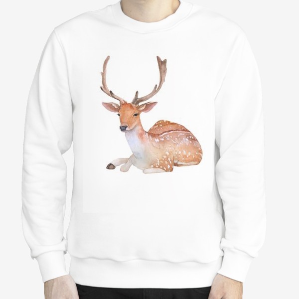 Свитшот «Reindeer watercolor drawing isolated on white background.»