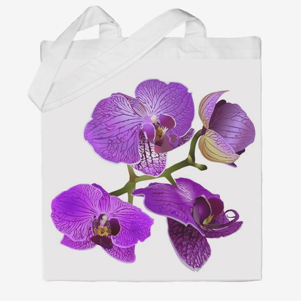Сумка хб &laquo;Кустик орхидеи фиолетового цвета векторная иллюстрация&raquo;