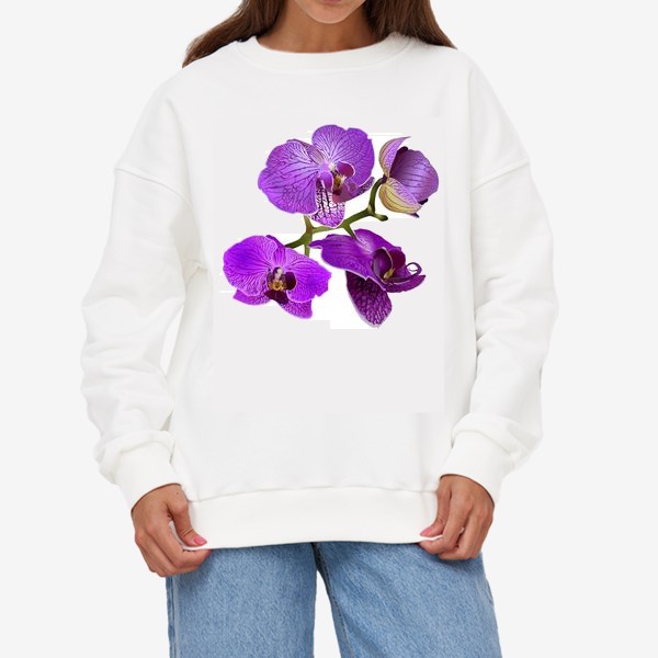 Свитшот &laquo;Кустик орхидеи фиолетового цвета векторная иллюстрация&raquo;