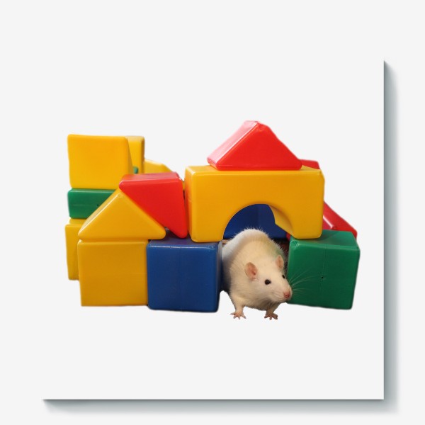 Холст «Белая крыса в домике из игрушек кубиков»