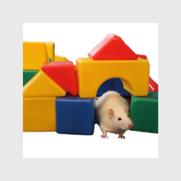 Шторы «Белая крыса в домике из игрушек кубиков»