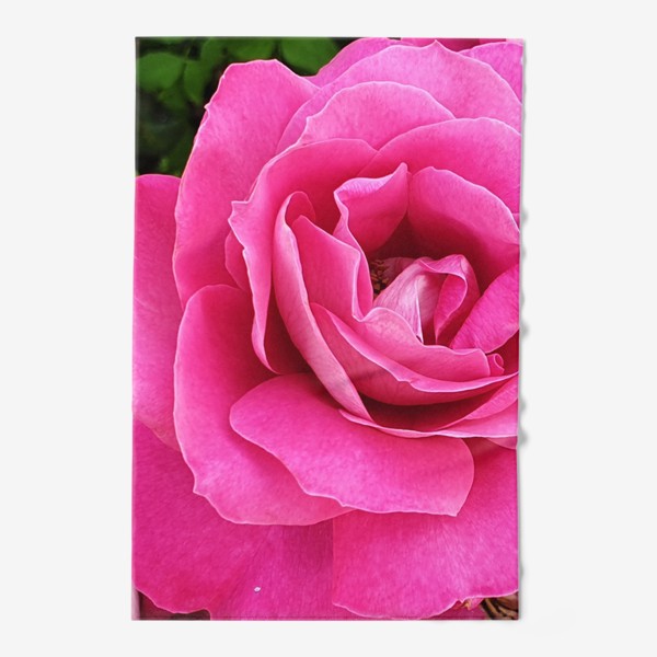 Полотенце «Pink Rose Perfection»