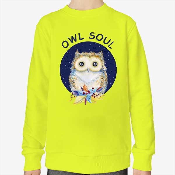 Свитшот «Сова в синем круге с надписью "Owl soul"»