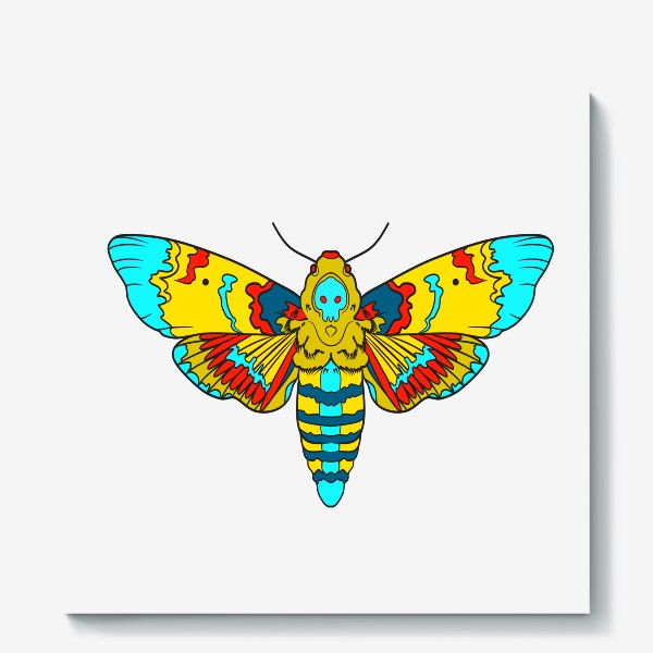 Холст «бабочка»