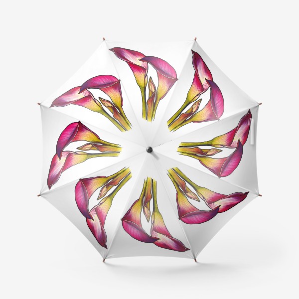 Зонт «Розовые каллы. Цветы. Рисунок»