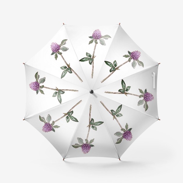 Зонт «Ботаника. Цветок клевера»