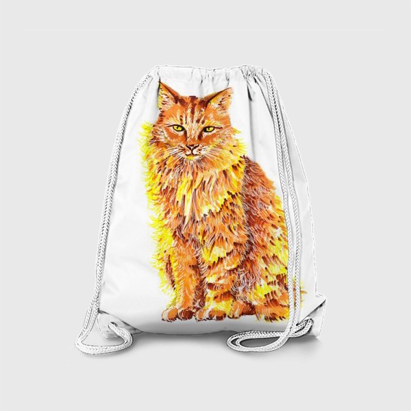 Рюкзак «Пушистый рыжий кот»