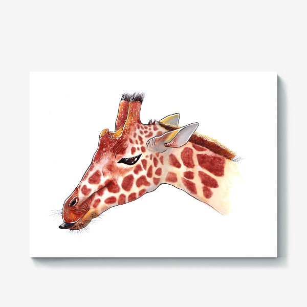 Холст «Жираф. Животные. Рисунок»