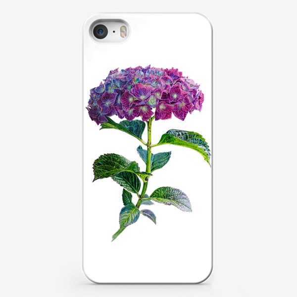 Чехол iPhone «Цветок Гортензия акварель»