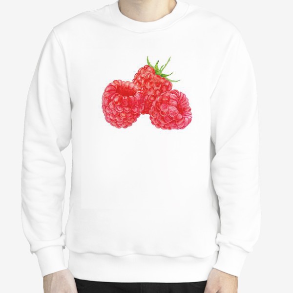 Свитшот &laquo;Raspberries on white background, watercolor drawing.&raquo;