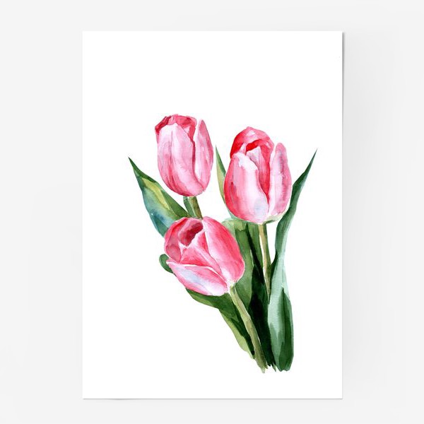 Постер «Розовые тюльпаны»