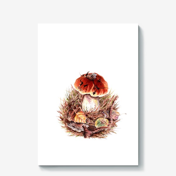 Холст «Осенняя ботаническая иллюстрация Лесная иллюстрация Гриб Боровик Лесные зарисовки»
