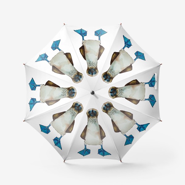 Зонт «Голубоногая олуша»