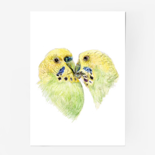 Постер «Пара волнистых попугаев 14 февраля сердце»