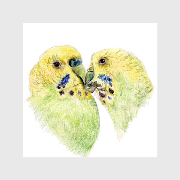Шторы «Пара волнистых попугаев 14 февраля сердце»