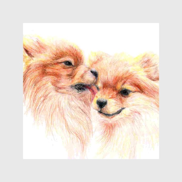 Шторы «пара собак шпицы 14 февраля любовь»