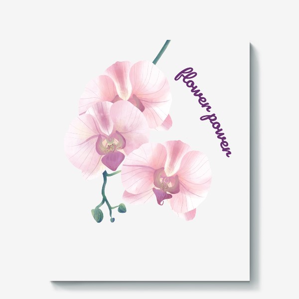 Холст «розовая орхидея»