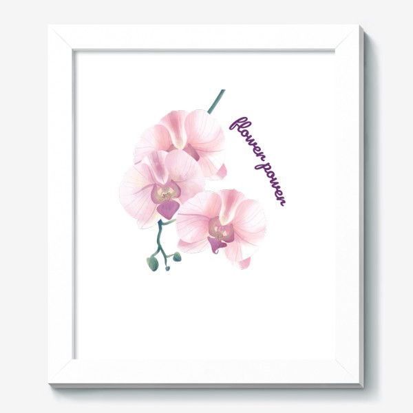 Картина «розовая орхидея»