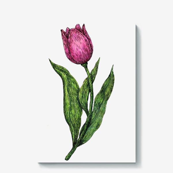 Холст «Розовый тюльпан красивый цветок»