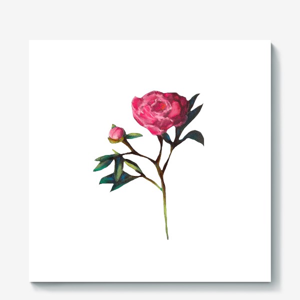 Холст &laquo;Розовый пион на белом фоне Минимализм Подарок на 8 марта Пастель&raquo;