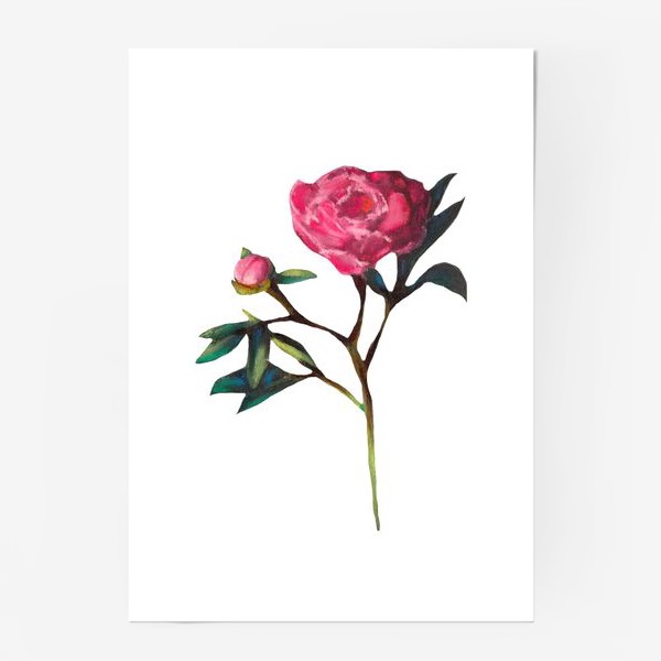 Постер «Розовый пион на белом фоне Минимализм Подарок на 8 марта Пастель»