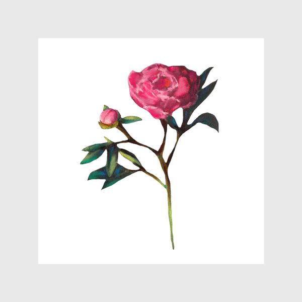 Шторы «Розовый пион на белом фоне Минимализм Подарок на 8 марта Пастель»