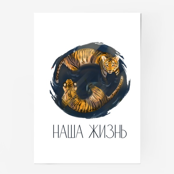 Постер «Амурские тигры в воде»