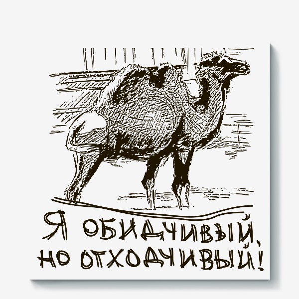 Холст «Скетч (набросок) верблюд и надпись: я обидчивый, но отходчивый»