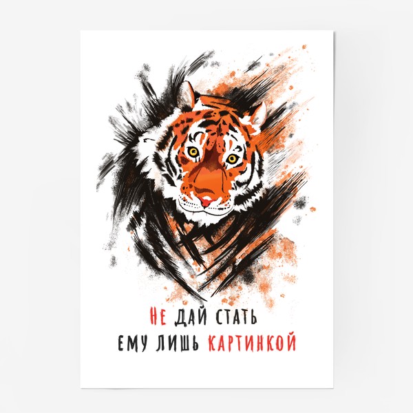 Постер «Амурский тигр с надписью»