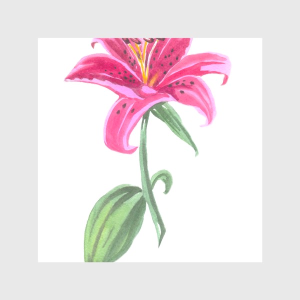 Шторы «акварель розовая лилия цветок»
