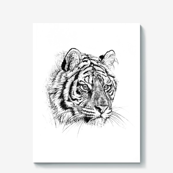 Холст «амурский тигр»