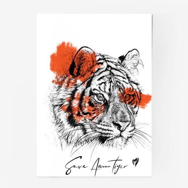 Постер «амурский тигр. цвет.»