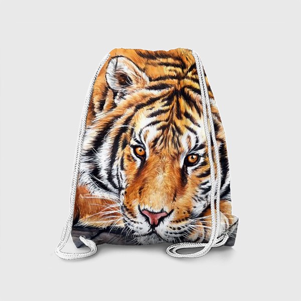 Рюкзак «амурский тигр»