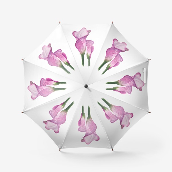 Зонт «Розовые Каллы»