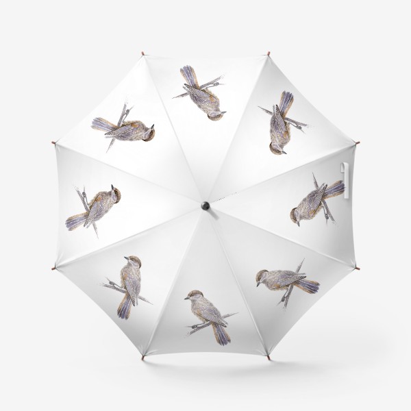 Зонт «птица кукша на ветке»