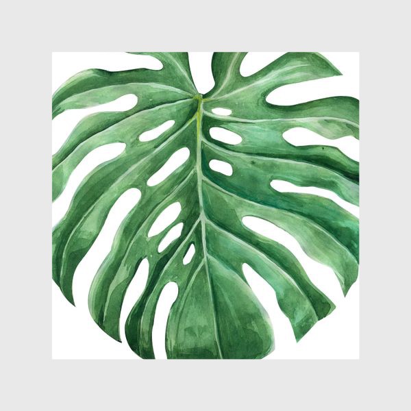 Шторы «монстера тропическое растение»