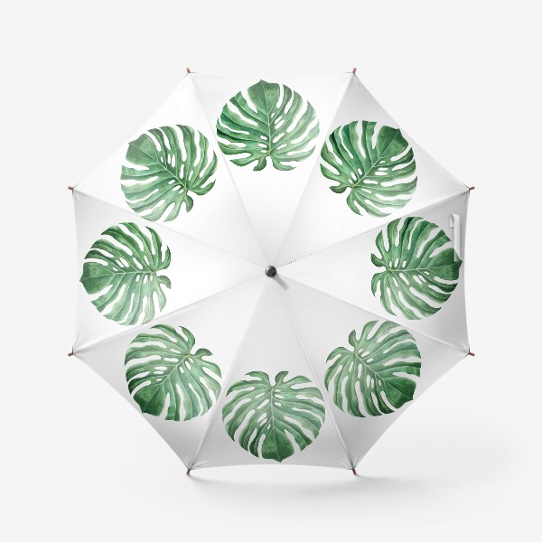 Зонт «монстера тропическое растение»