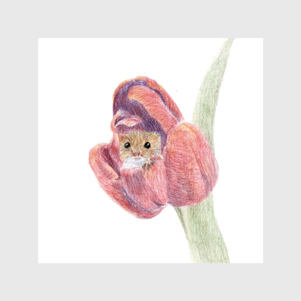 Шторы «мышь малютка в бутоне цветка тюльпан»