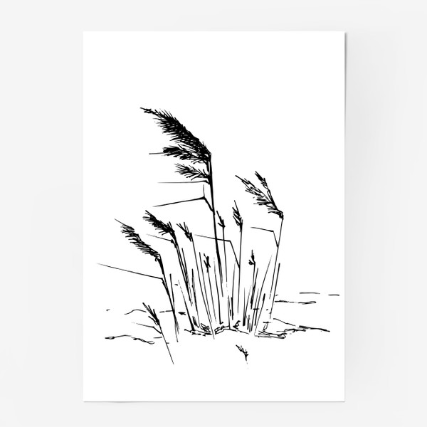 Постер «Травы»