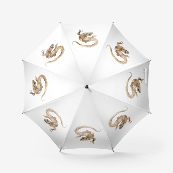 Зонт «Земноводное живородящая ящерица»