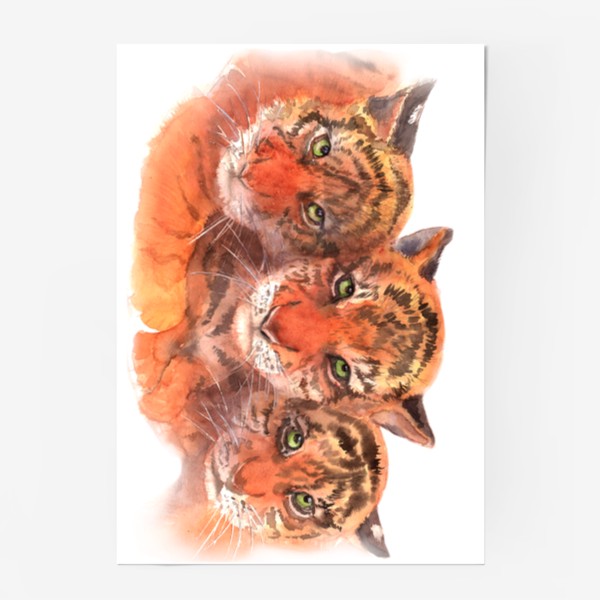 Постер «Тигрята»