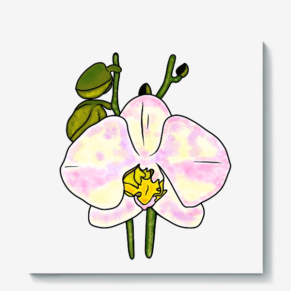Холст «Орхидея Фаленопсис»