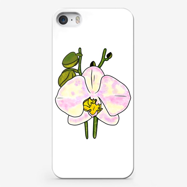 Чехол iPhone «Орхидея Фаленопсис»