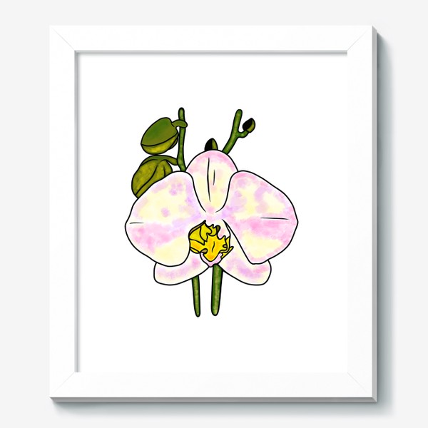 Картина «Орхидея Фаленопсис»